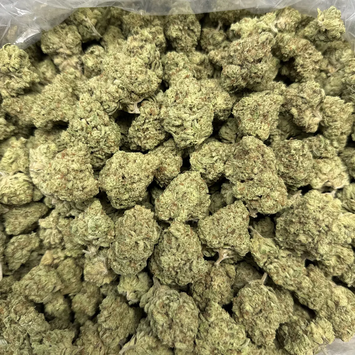 Pineapple Express Flower
